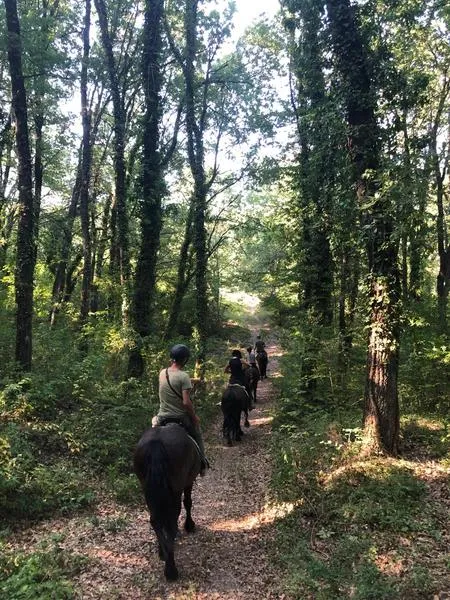 Passeggiata a cavallo e aperitivo a San Leo nell'entroterra di Rimini