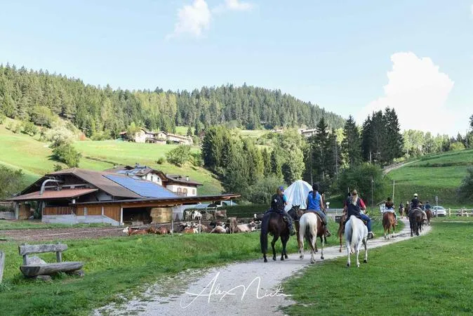 Passeggiata a cavallo sopra le Dolomiti Brenta