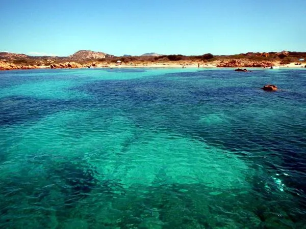 Gita in barca privata all'Isola Tavolara da Olbia