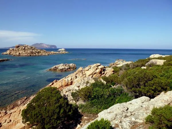 Gita in barca privata all'Isola Tavolara da Olbia