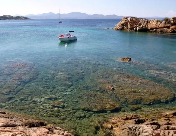 Gita in barca privata all'Isola Tavolara da Olbia