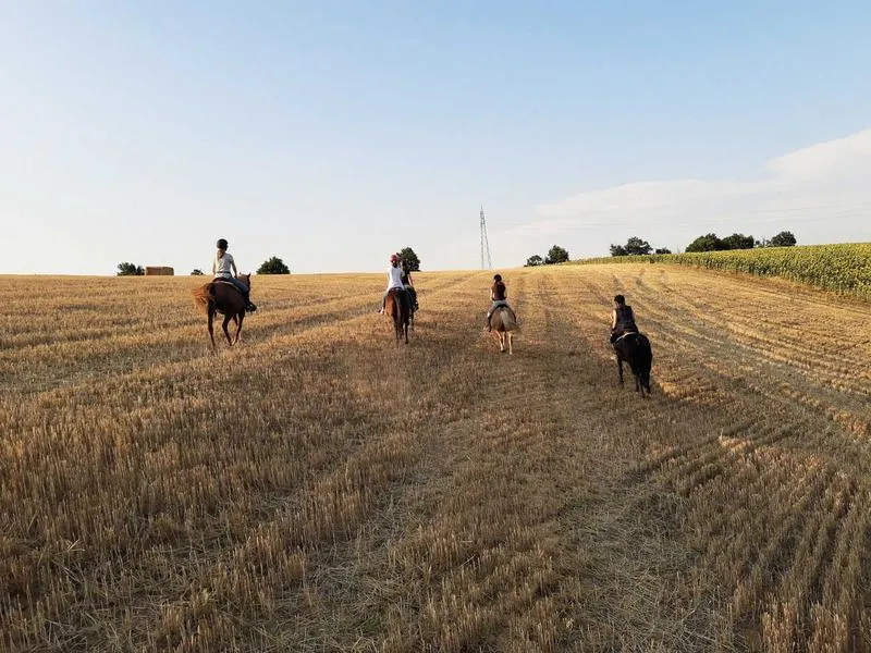 Passeggiata a cavallo nel Parco dello Stirone emiliano