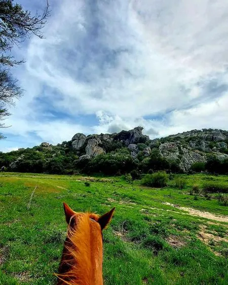Passeggiata a cavallo in campagna nella Gallura