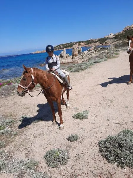 Passeggiata a cavallo alla Maddalena