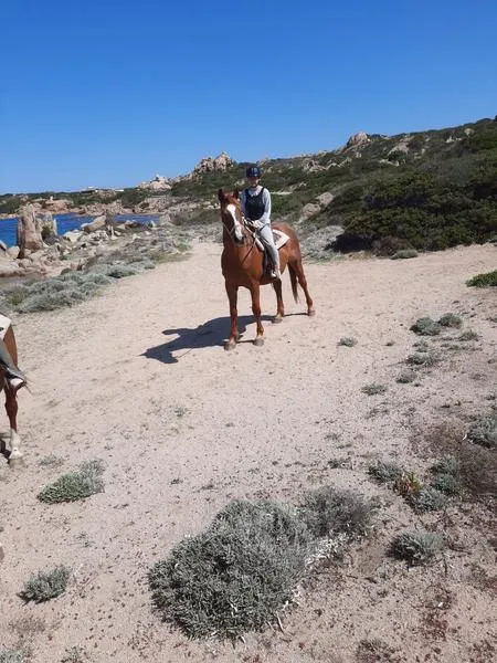 Passeggiata a cavallo alla Maddalena