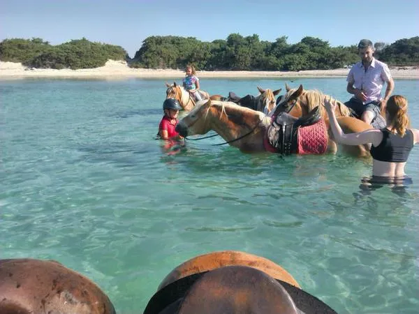 Passeggiata a cavallo in riva al mare a Porto Cesareo
