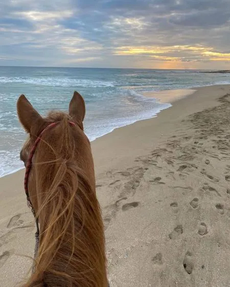 Passeggiata a cavallo in riva al mare a Porto Cesareo