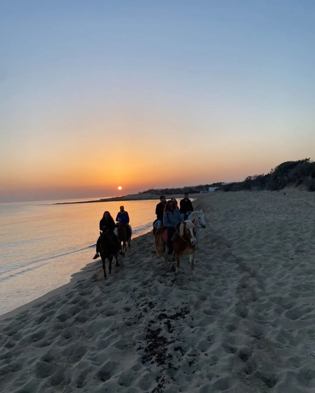 Passeggiata a cavallo in riva al mare a Porto Cesareo