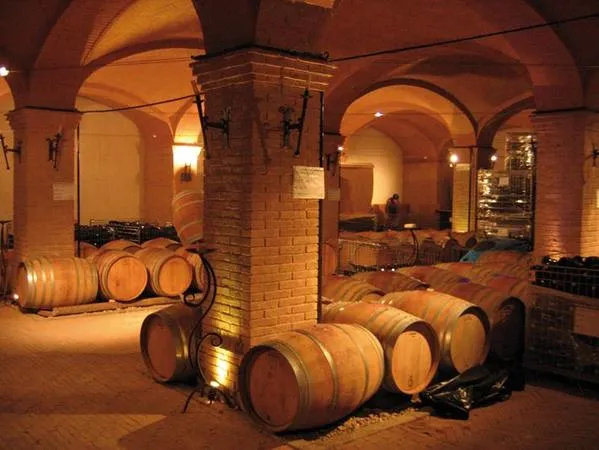 Degustazione vini al lago di Garda e pranzo in agriturismo