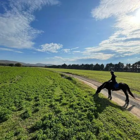 Passeggiata a cavallo al Lago di Bolsena