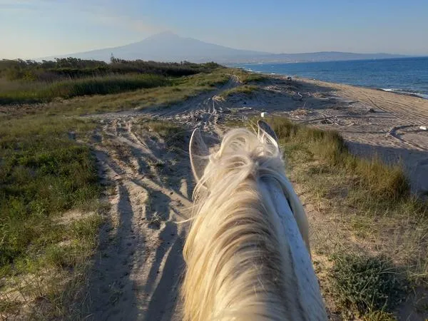 Passeggiata a cavallo in riva al mare a Catania
