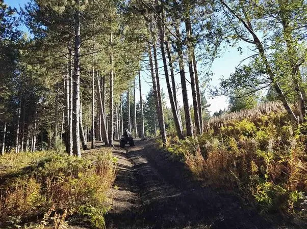 Escursione in quad sull'Etna