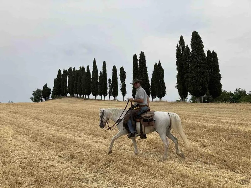 Passeggiata a cavallo sui colli di Bologna
