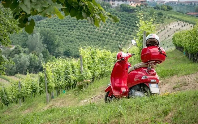 Vespa Tour delle Langhe
