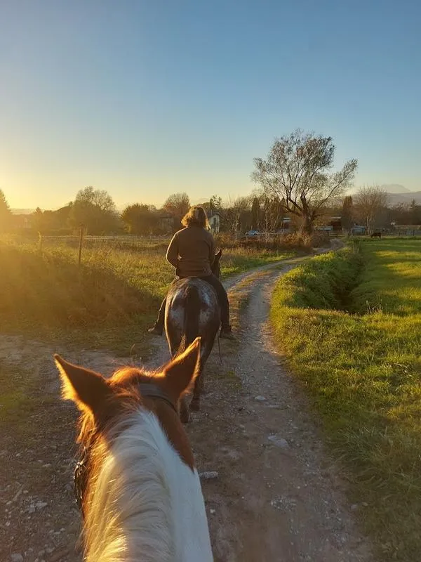Passeggiata a cavallo al Lago Maggiore