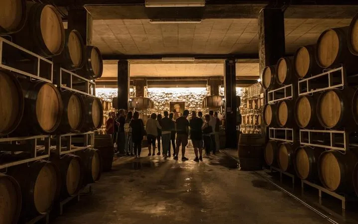 Visita in vigna e in cantina con degustazione in Franciacorta
