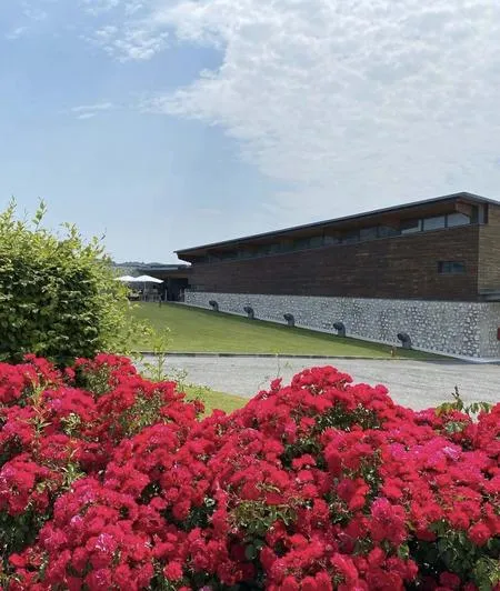 Visita in vigna e in cantina con degustazione in Franciacorta