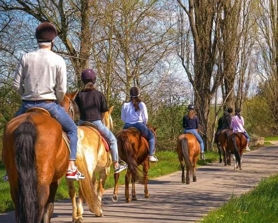 Passeggiata a cavallo sulle colline del Monferrato