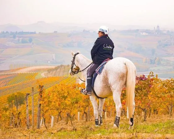 Passeggiata a cavallo sulle colline del Monferrato