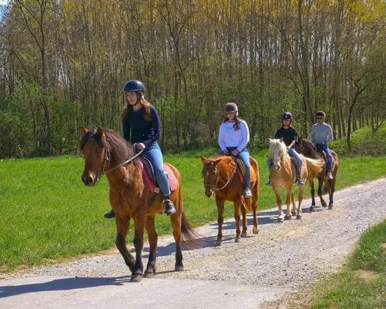 Passeggiata a cavallo sulle colline del Monferrato