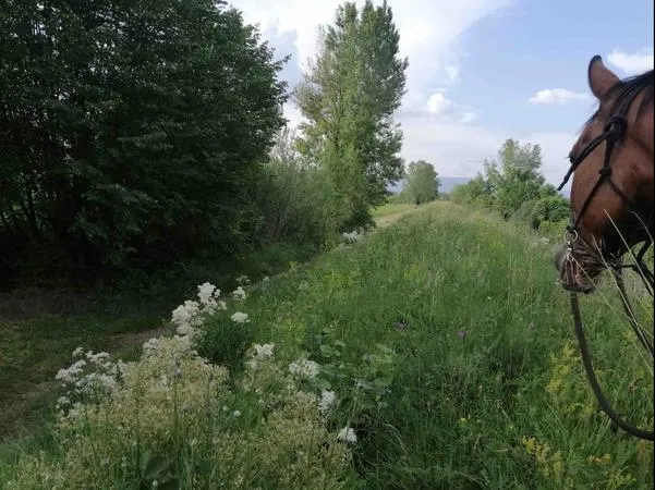 Passeggiata a cavallo a San Giorgio della Richinvelda