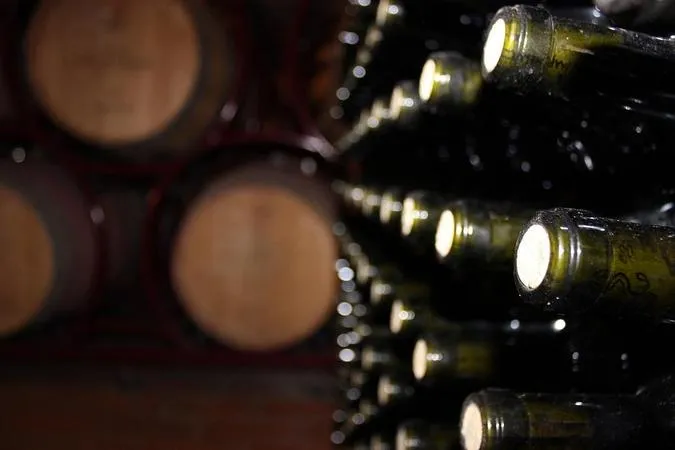 Degustazione vini e visita alla cantina Terre del Marchesato a Bolgheri