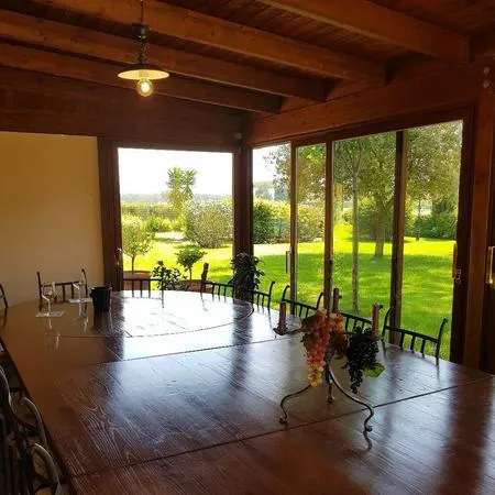 Degustazione vini e visita alla cantina Terre del Marchesato a Bolgheri