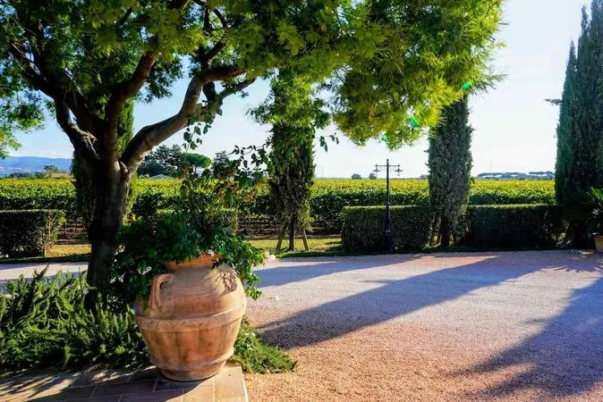 Degustazione vini e visita alla cantina Terre del Marchesato a Bolgheri