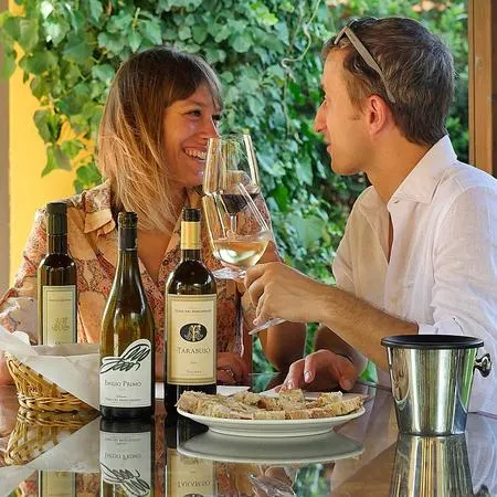 Degustazione vini e visita alla cantina Terre del Marchesato a Bolgheri