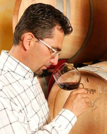 Degustazione vini e visita alla cantina Terre del Marchesato a Bolgheri