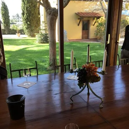 Degustazione vini e visita alla cantina Terre del Marchesato a Bolgheri