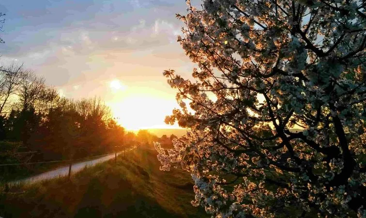 Passeggiata a cavallo tra Vicenza e Padova