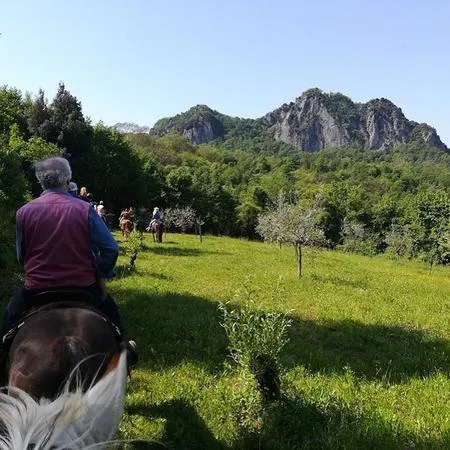 Passeggiata a cavallo tra Vicenza e Padova