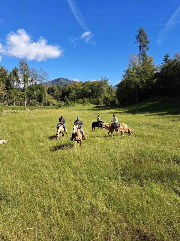 Passeggiata a cavallo ad Arsiè