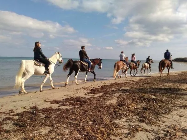 Passeggiata a cavallo a Fasano