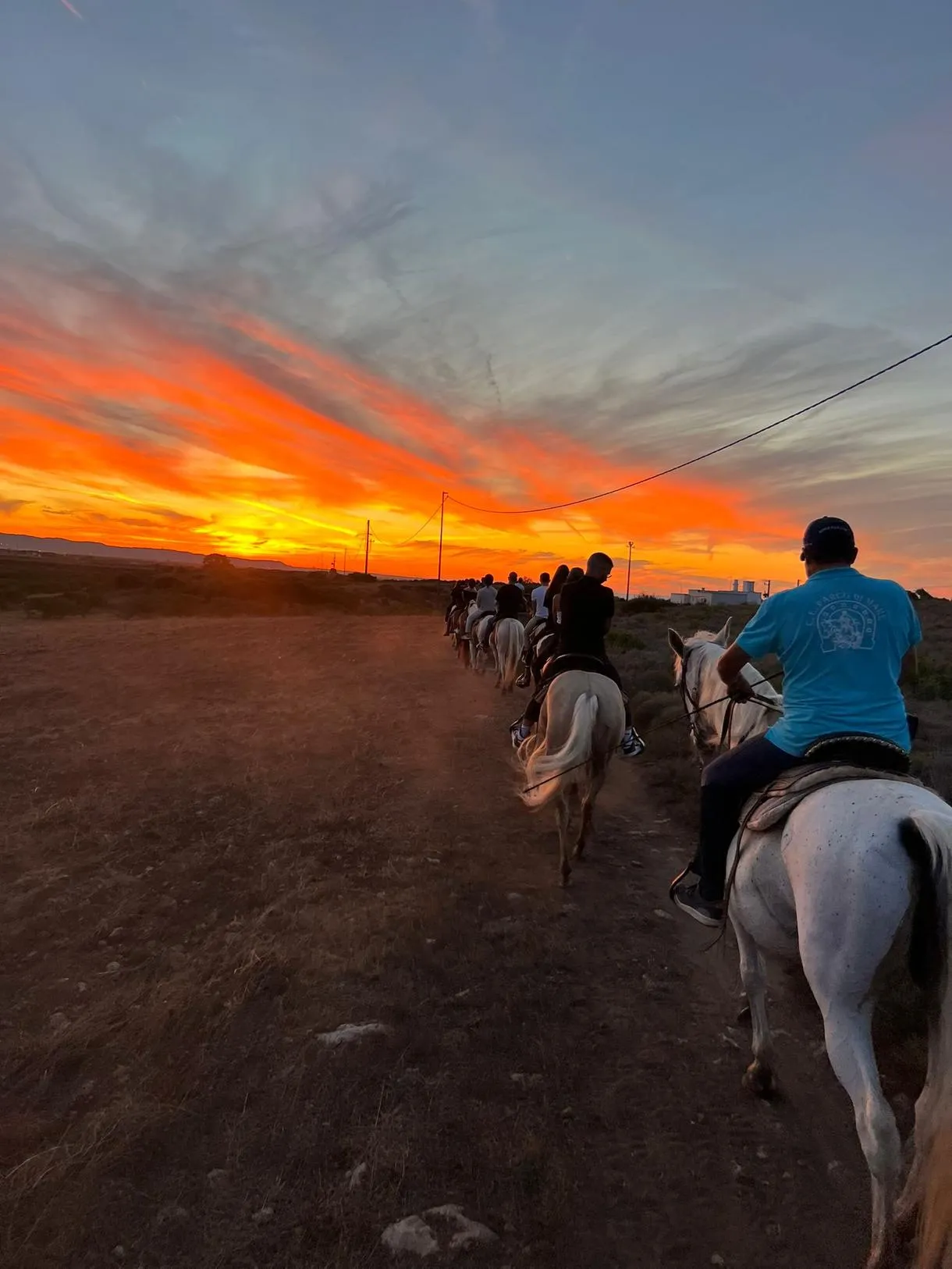 Passeggiata a cavallo a Fasano