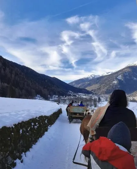 Slitta con cavalli sulla neve in Val di Sole