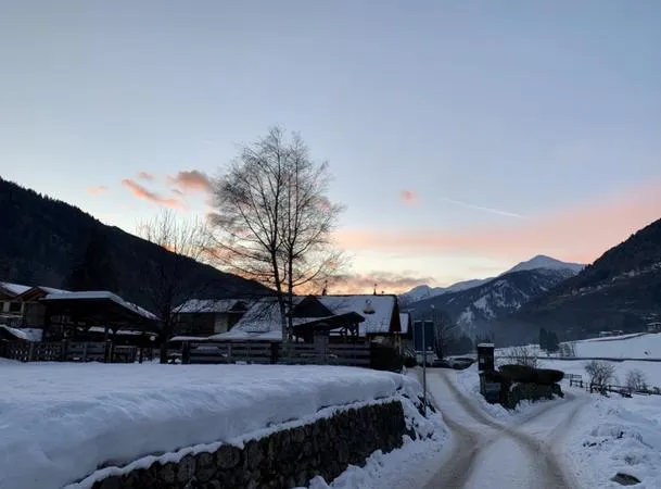 Slitta con cavalli sulla neve in Val di Sole