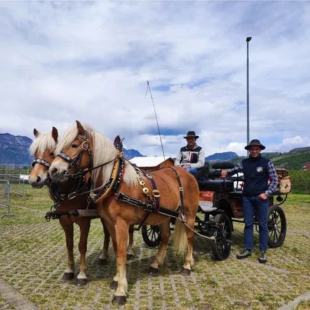 Giro in carrozza a Cavalese in Val di Fiemme