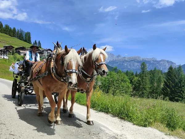 Giro in carrozza a Cavalese in Val di Fiemme