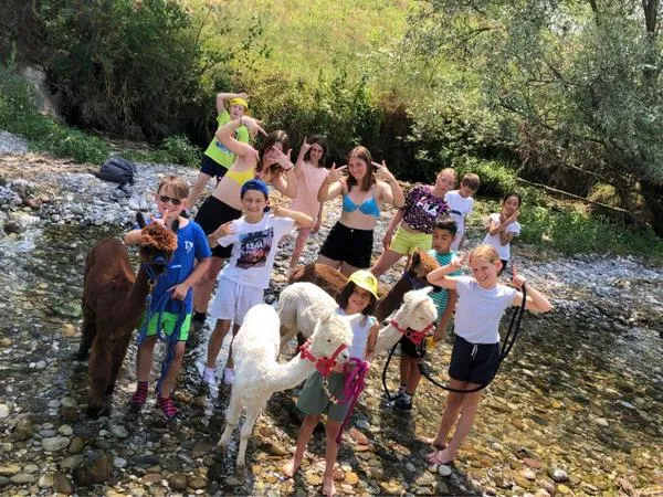 Passeggiata con alpaca sul fiume Serio fuori Bergamo