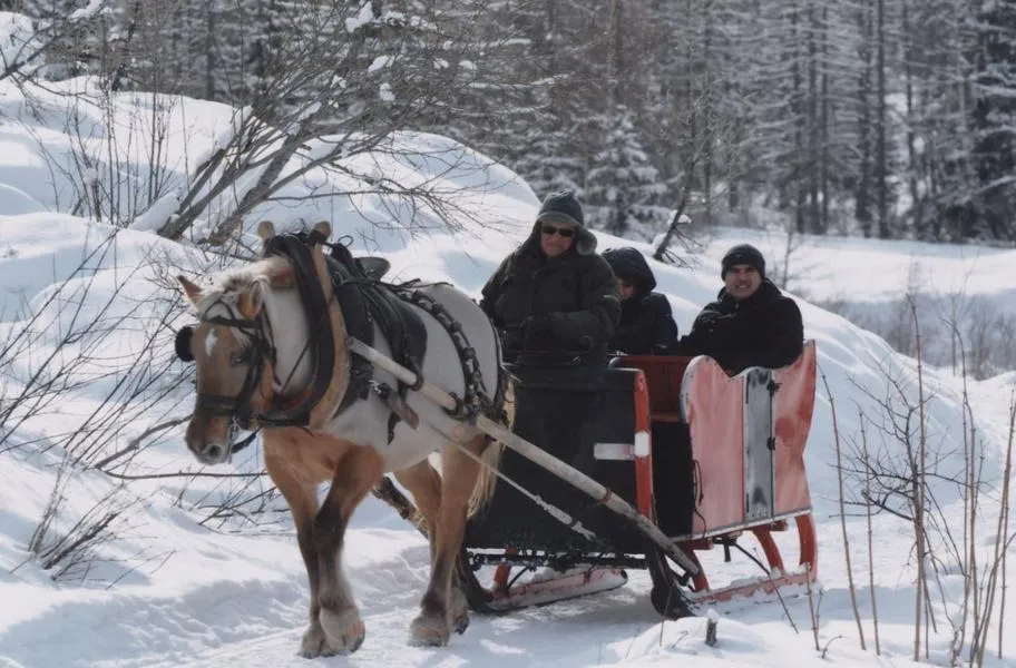 Giro su slitta e cavalli a Cogne