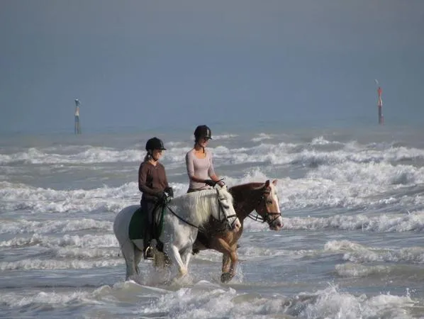 Passeggiata a cavallo in riva al mare a Caorle