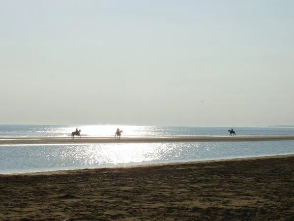 Passeggiata a cavallo in riva al mare a Caorle