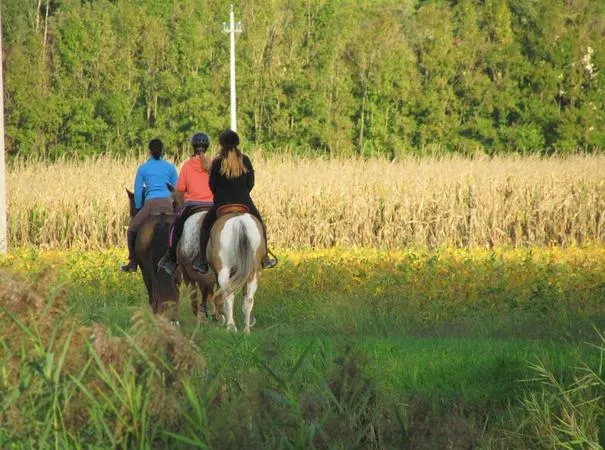 Passeggiata a cavallo in riva al mare a Caorle