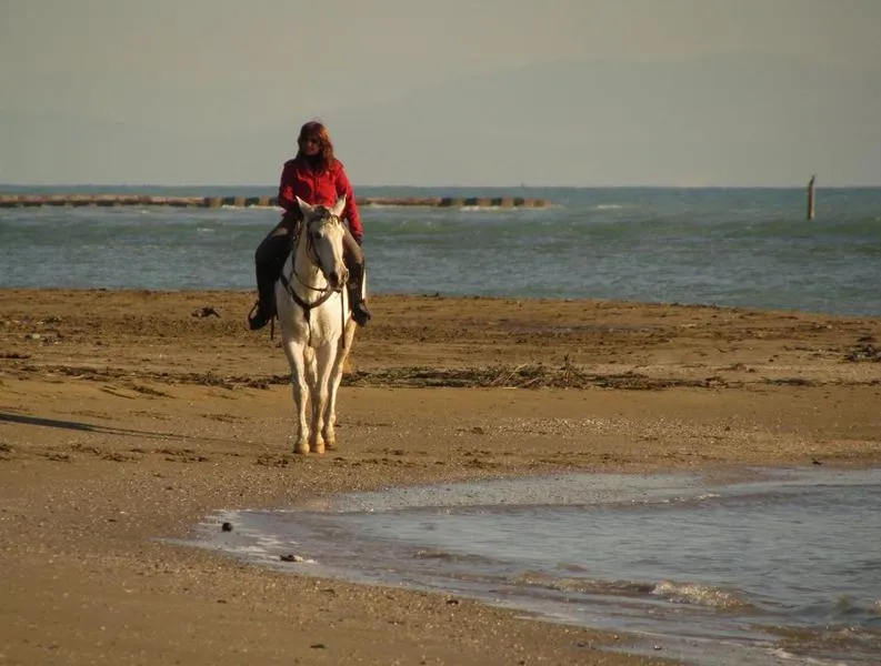 Passeggiata a cavallo in riva al mare a Caorle