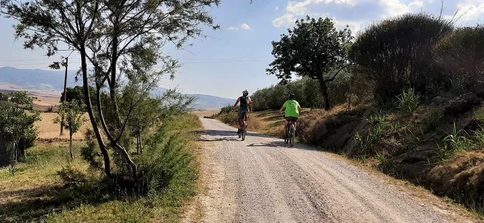 Giro in e-bike al tramonto e aperitivo in Val d'Orcia​