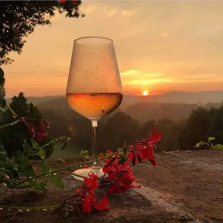 Giro in e-bike al tramonto e aperitivo in Val d'Orcia​