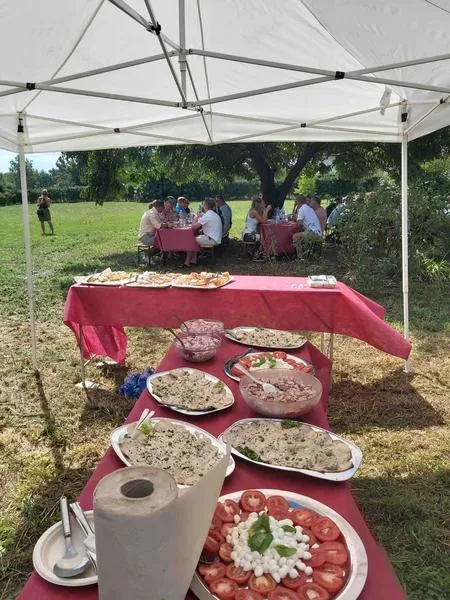 Degustazione vini e visita vigna ad Albizzate