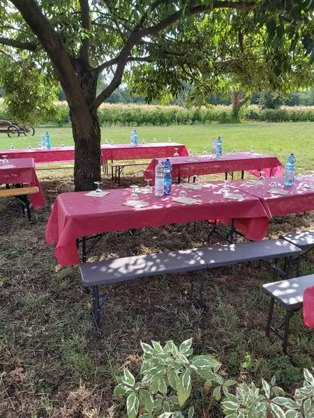 Degustazione vini e visita vigna ad Albizzate